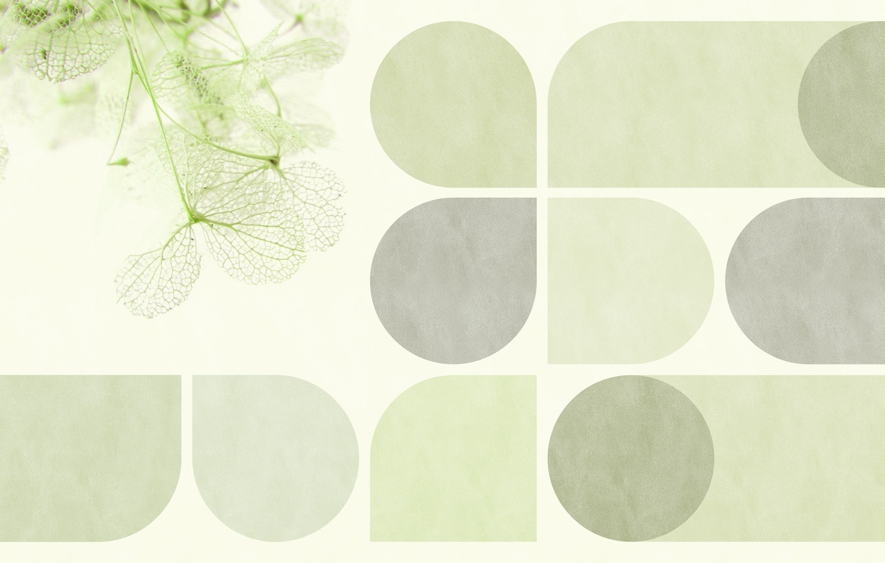 Delicate leaves against muted background