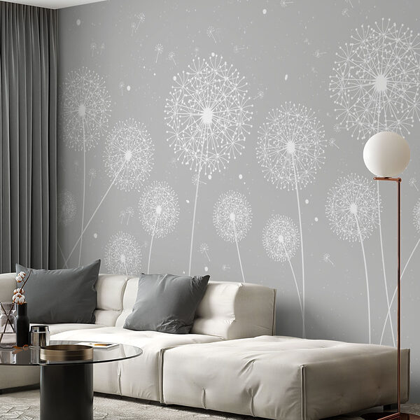 A white dandelions on a grey background