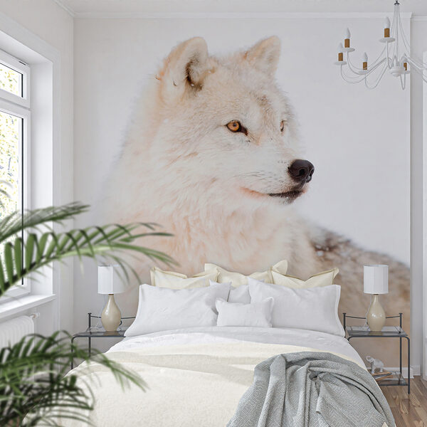 Un lobo blanco en la nieve Un lobo blanco en la nieve