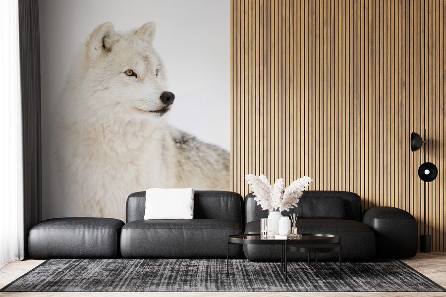 Un lobo blanco en la nieve
