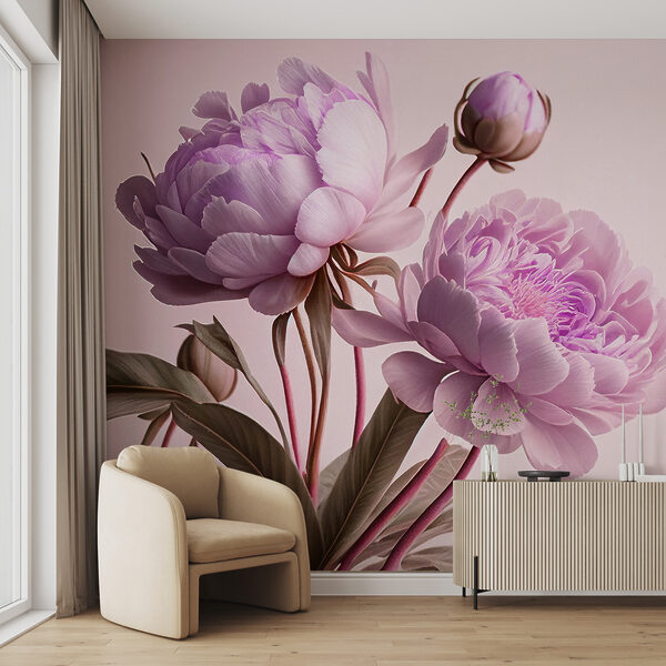 Elegantes peonías rosas en suave floración Elegantes peonías rosas en suave floración