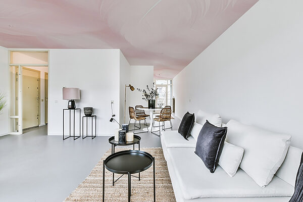 Close up of feathers