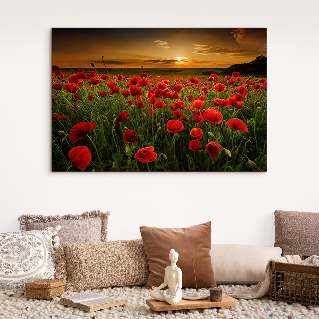 A field of red flowers