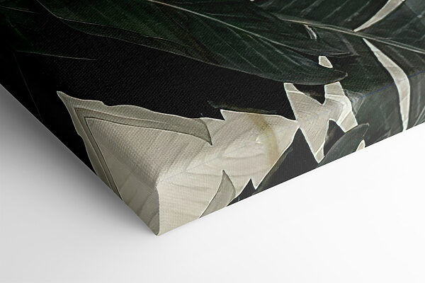 A close up of leaves