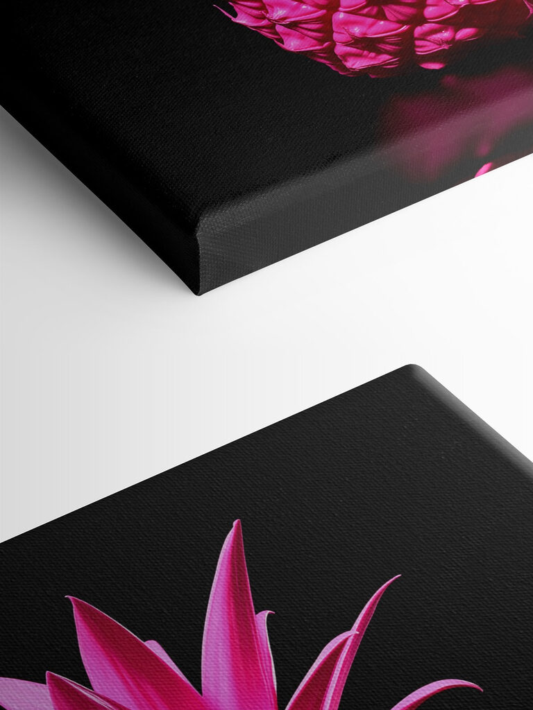 A pink pineapple with a black background
