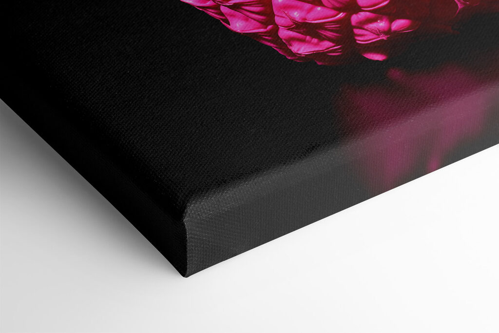 A pink pineapple with a black background