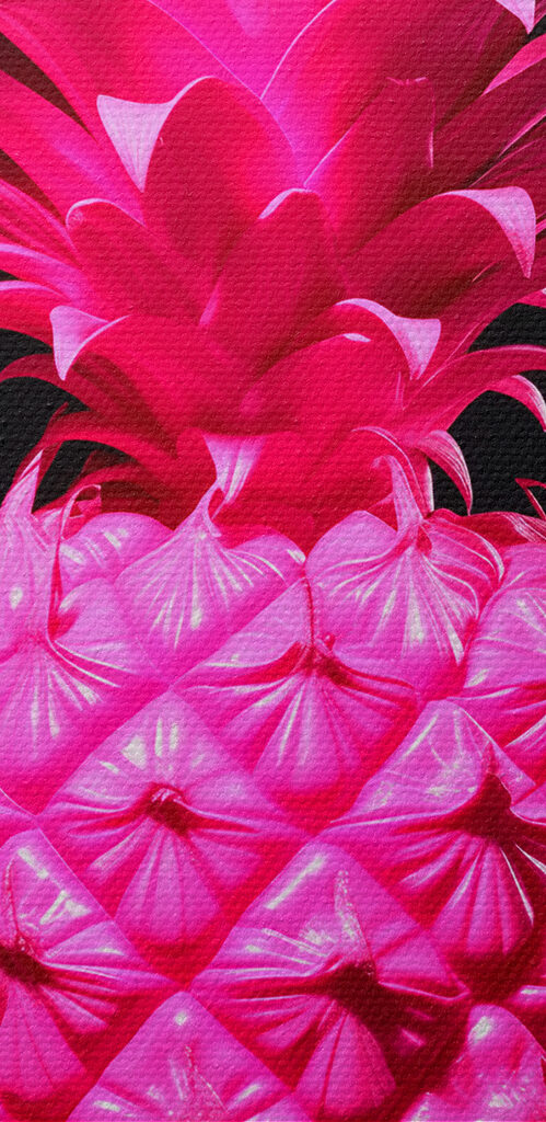 A pink pineapple with a black background
