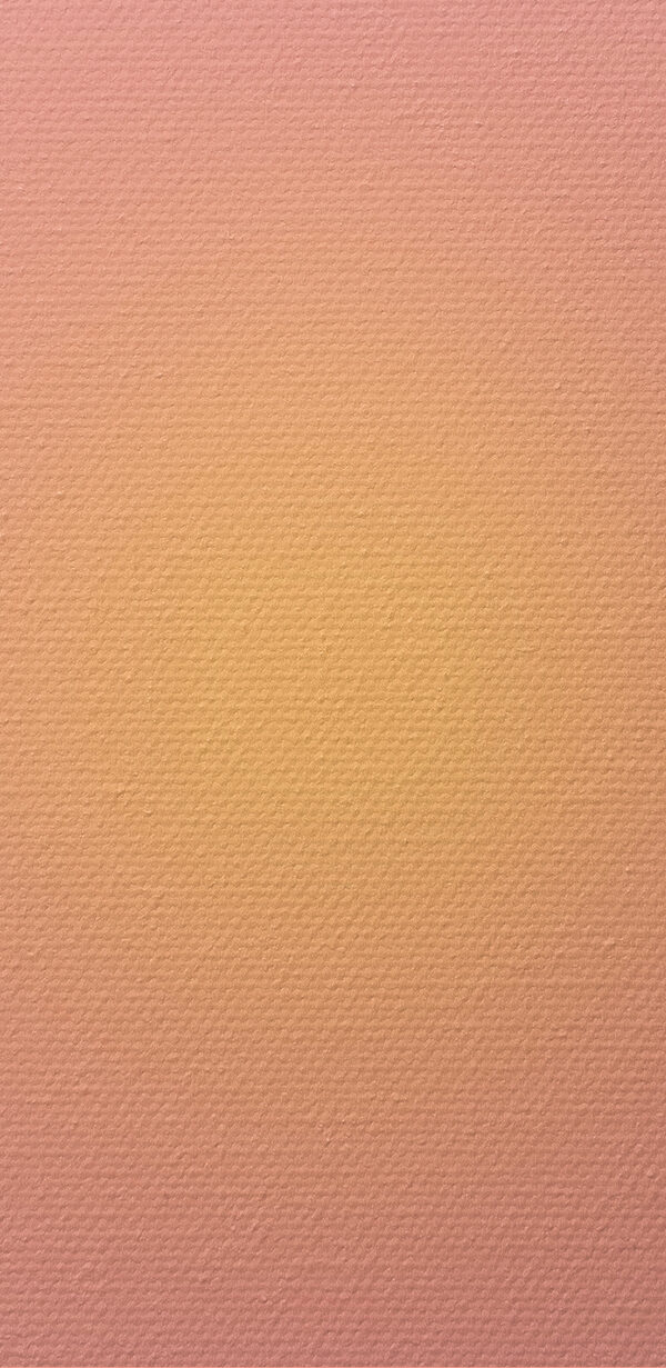 A pink and yellow circle