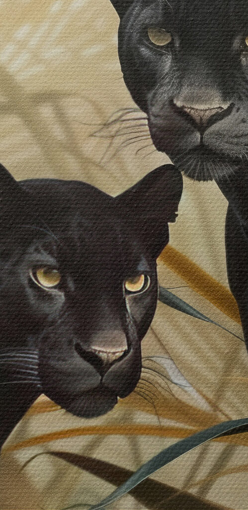 Two black tigers in the jungle Two black tigers in the jungle