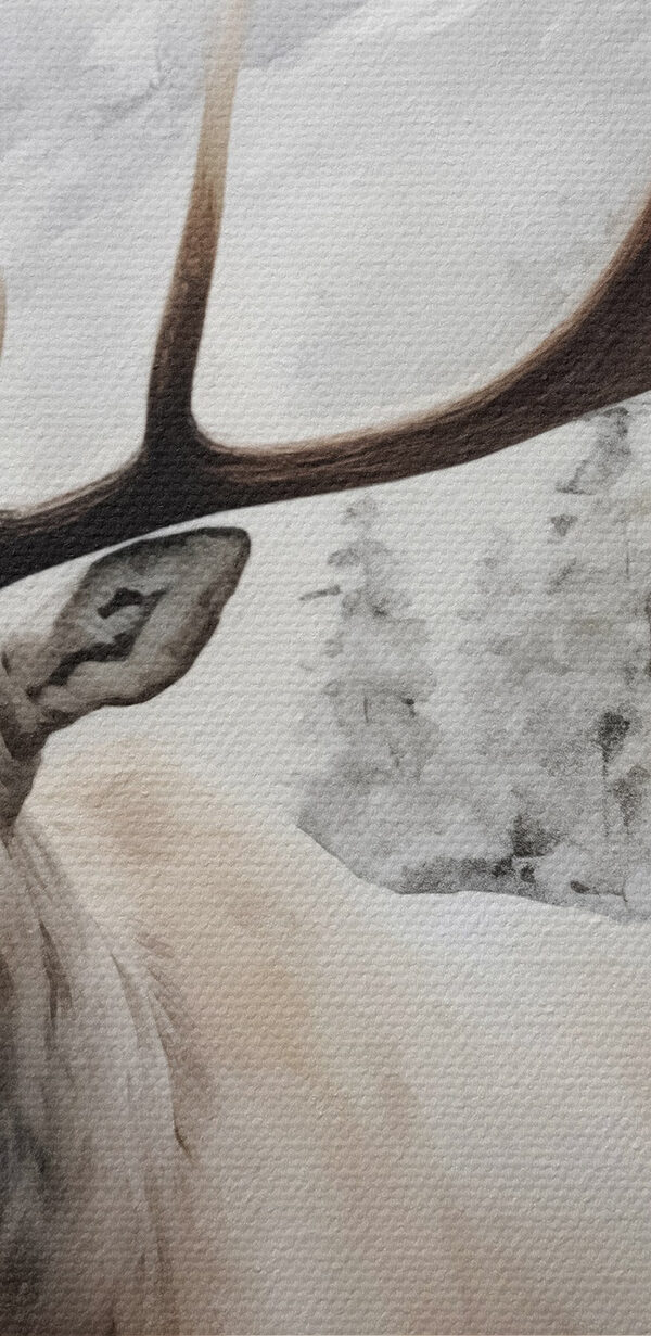 Moose with large antlers standing in a snowy forest Moose with large antlers standing in a snowy forest