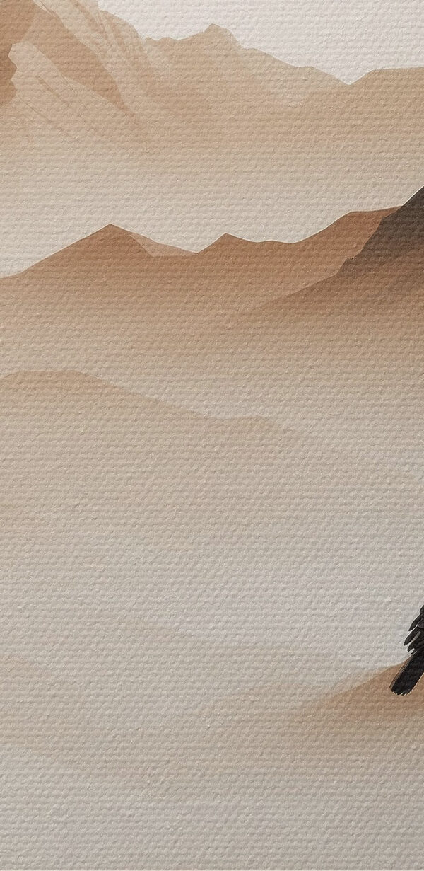 Bird on a mountain top Bird on a mountain top