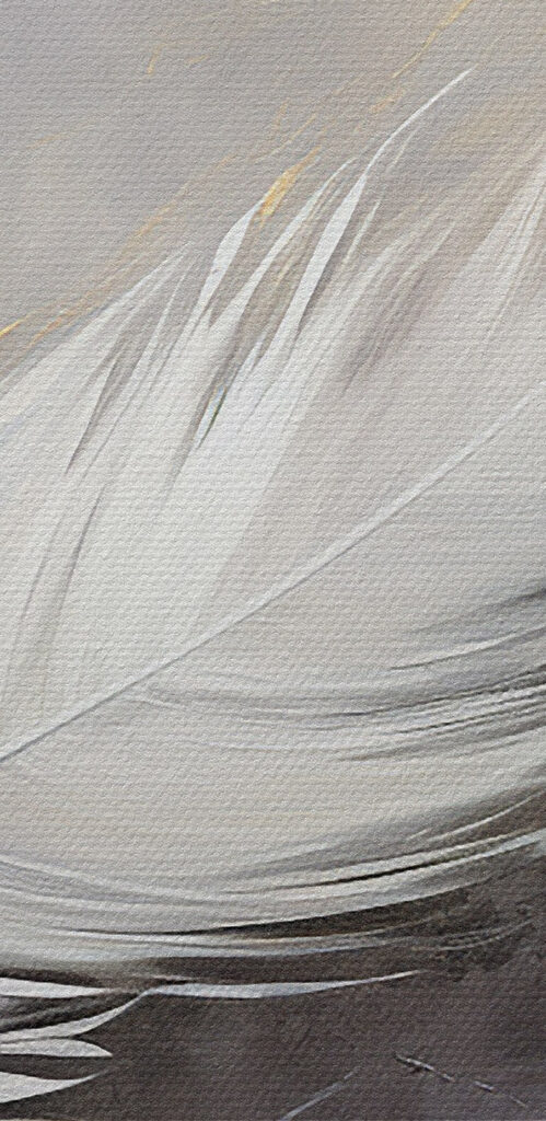 White feather on a grey background White feather on a grey background
