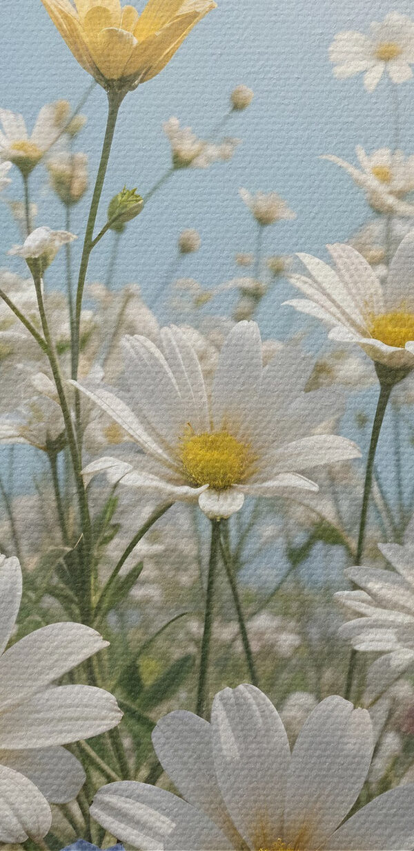 Group of butterflies flying over a field of flowers Group of butterflies flying over a field of flowers