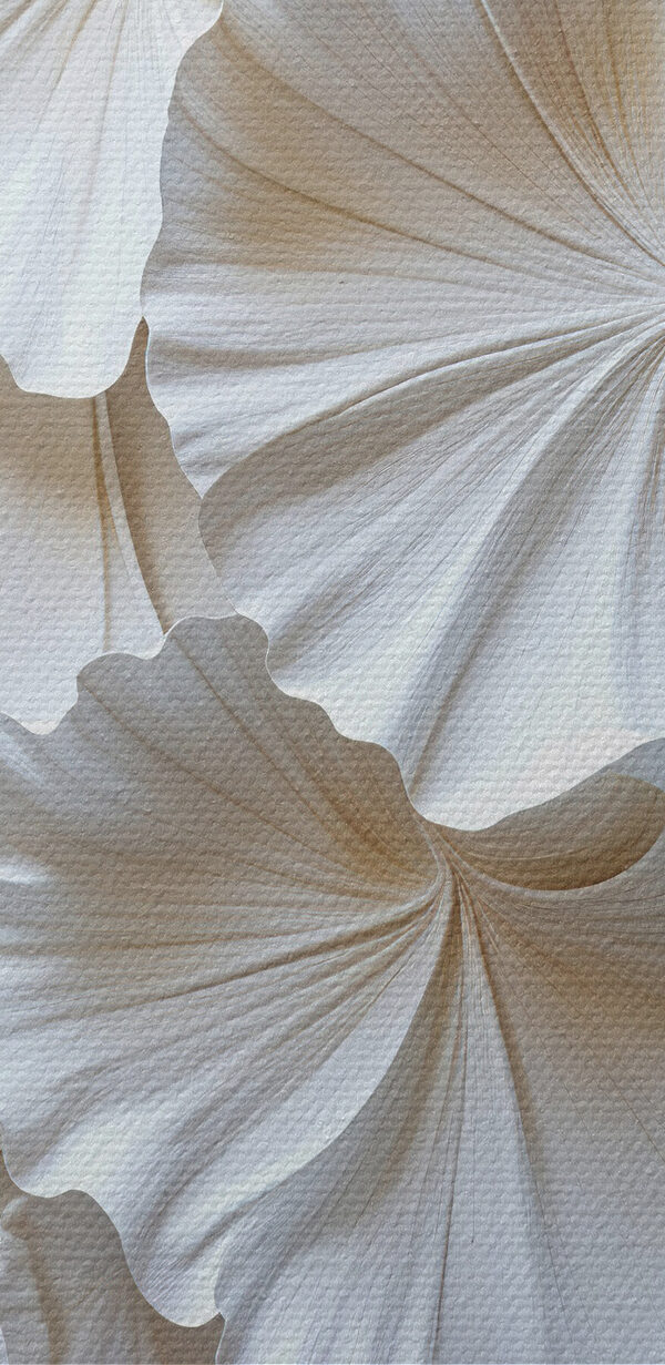 Group of white leaves