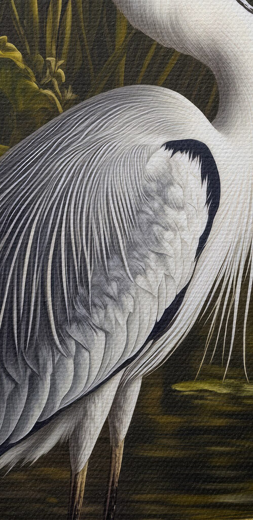 Bird standing in water Bird standing in water