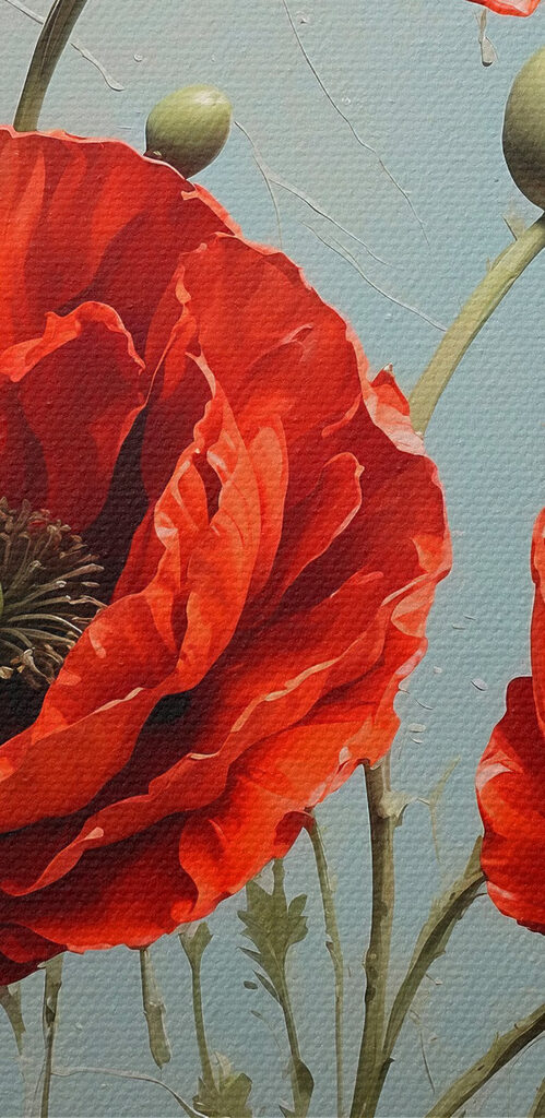 Vibrant red poppies in bloom Vibrant red poppies in bloom