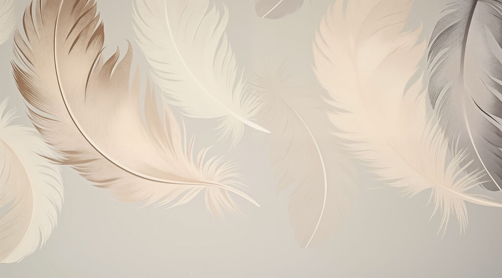 Grupo de plumas sobre fondo blanco Grupo de plumas sobre fondo blanco