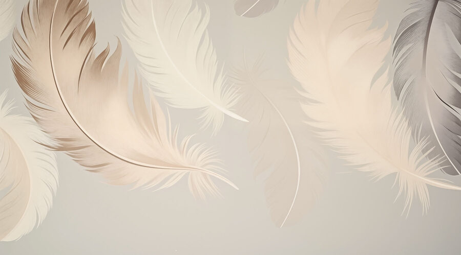 Grupo de plumas sobre fondo blanco