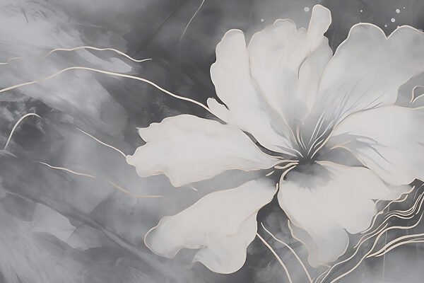 White flower on a black and white background White flower on a black and white background