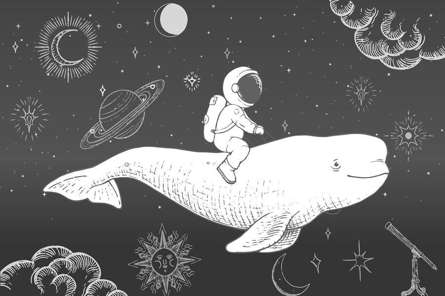 Dibujo de una persona montando una ballena