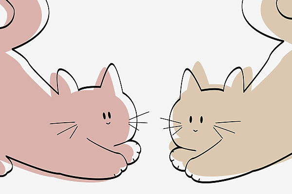 Pareja de gatos tumbados Pareja de gatos tumbados