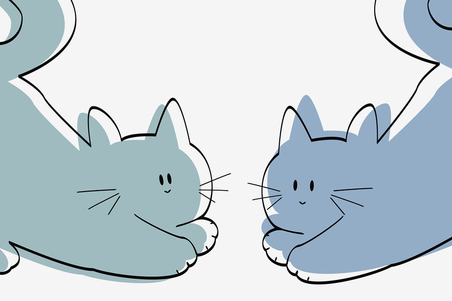 Pareja de gatos tumbados