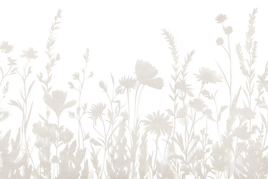 Fondo blanco con flores Fondo blanco con flores
