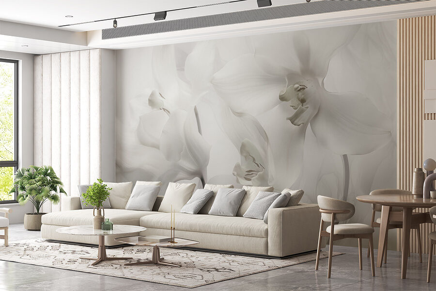 Delicadas orquídeas blancas bajo una luz suave