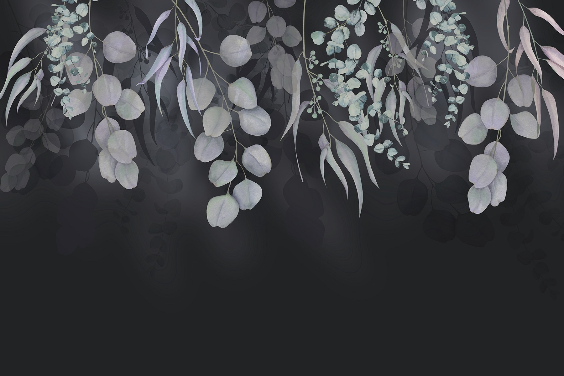 Graceful leaves against dark backdrop