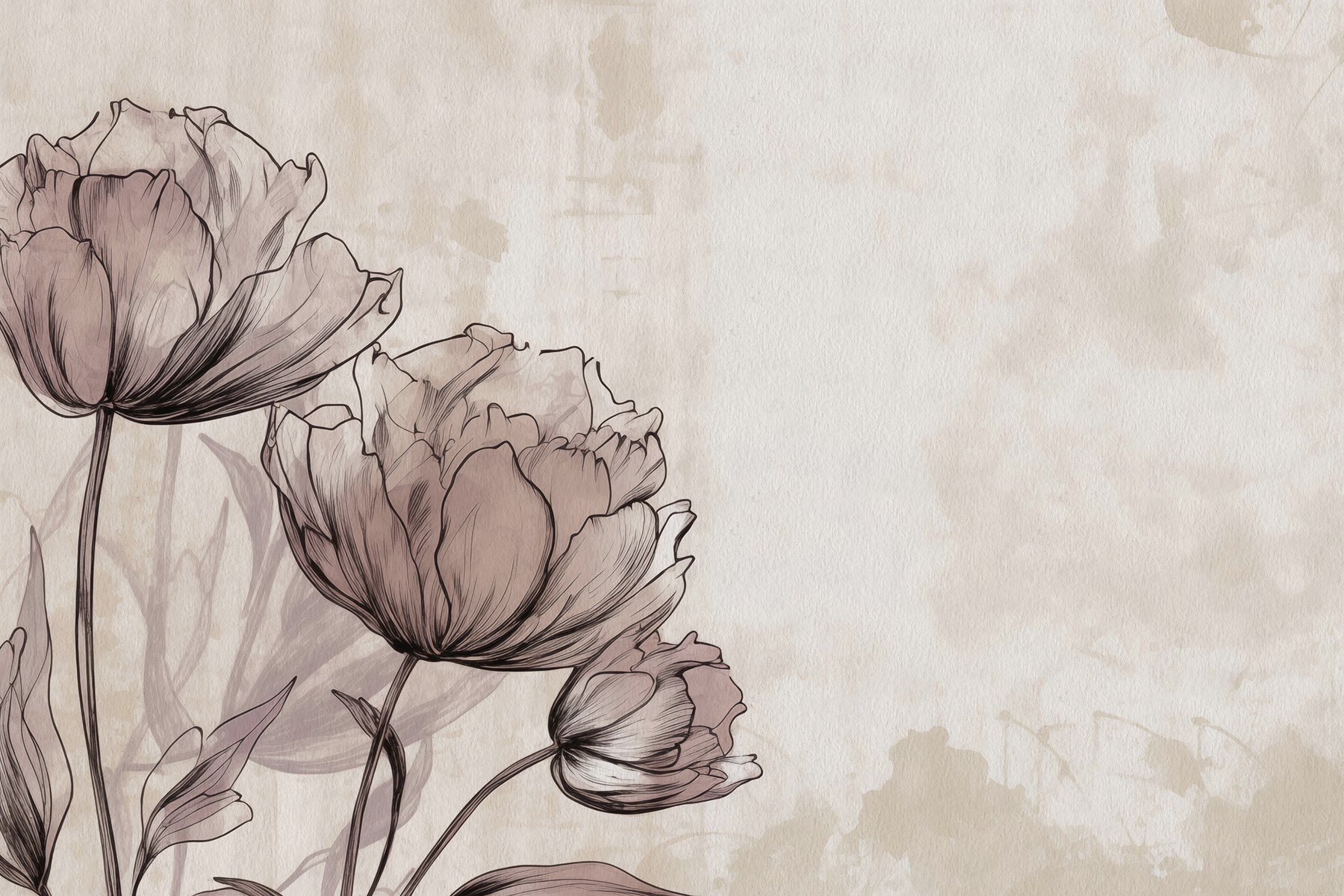 Drawing of flowers on a white background Drawing of flowers on a white background