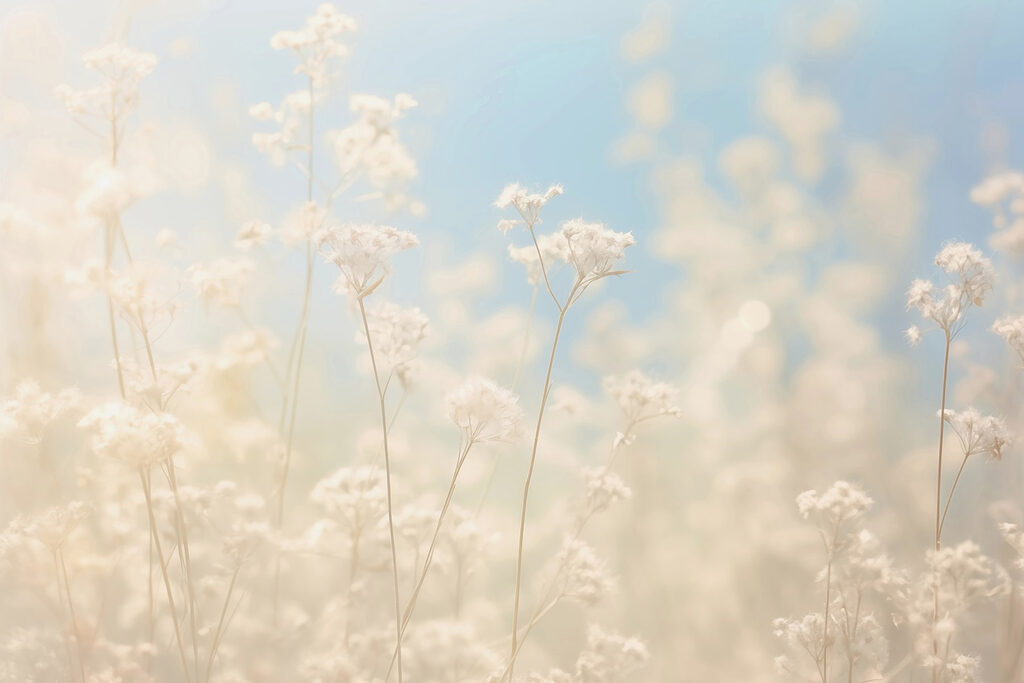 Flores de ensueño a la suave luz del sol. Flores de ensueño a la suave luz del sol.