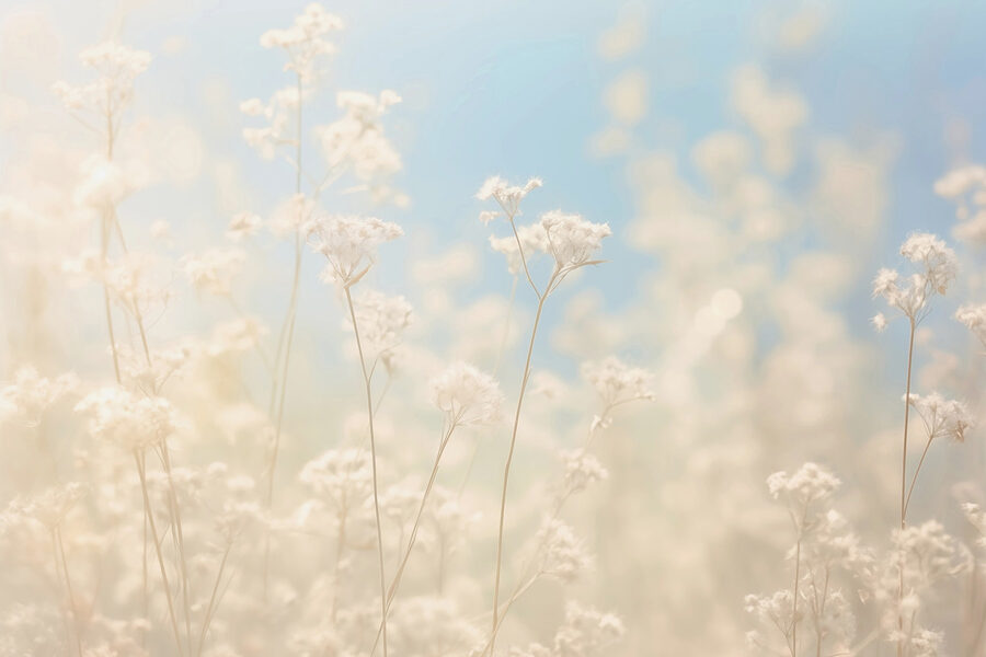 Flores de ensueño a la suave luz del sol.