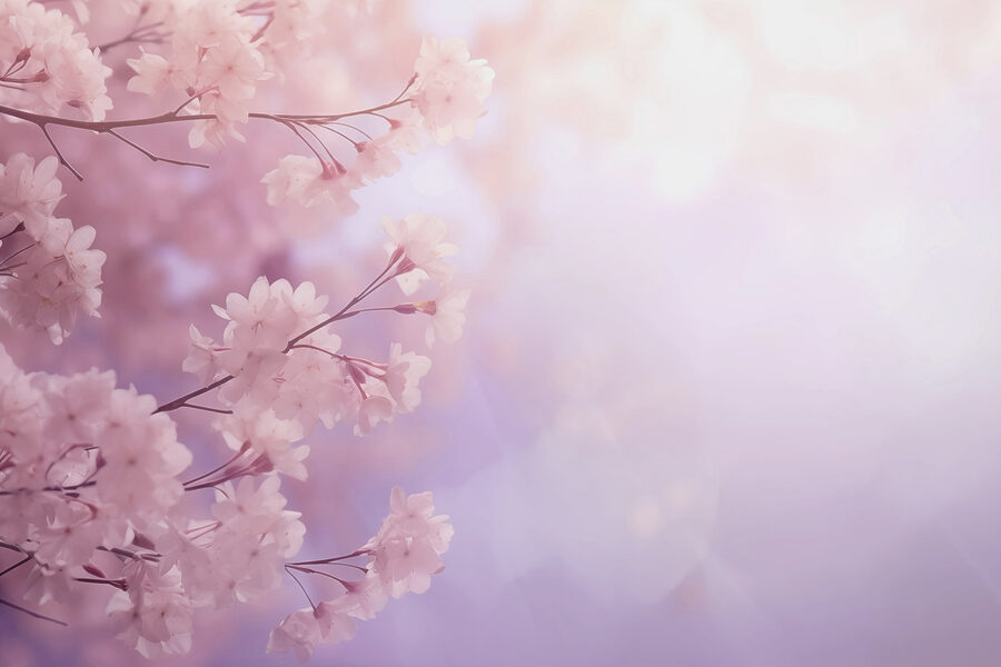Flores suaves en un momento pastel