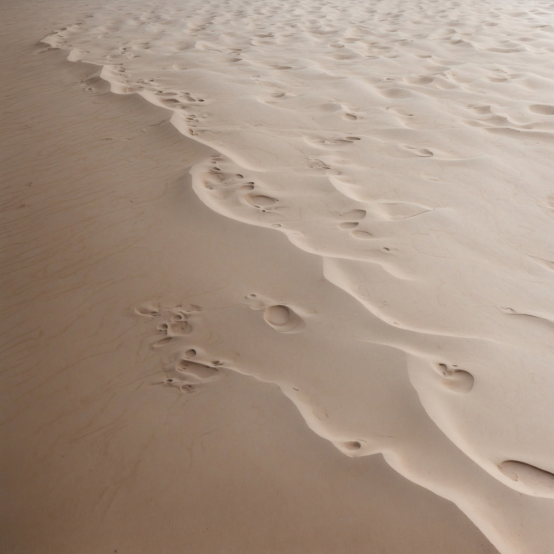 Footprints in the sand Footprints in the sand