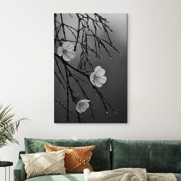 Delicate blooms beneath gentle rain Delicate blooms beneath gentle rain