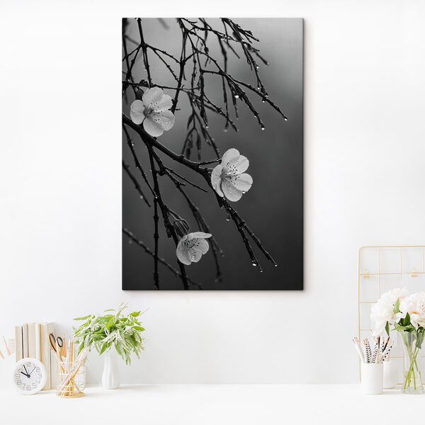 Delicate blooms beneath gentle rain Delicate blooms beneath gentle rain