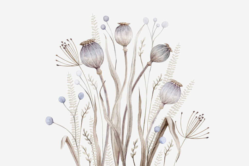Acuarela de flores y plantas Acuarela de flores y plantas