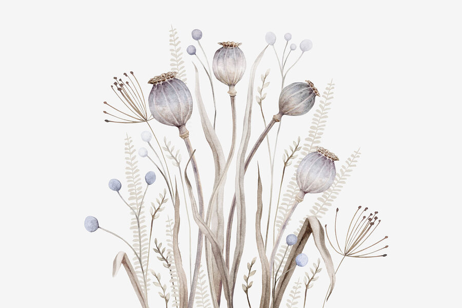 Acuarela de flores y plantas Acuarela de flores y plantas