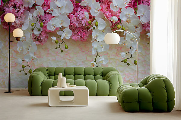 Group of white and pink flowers