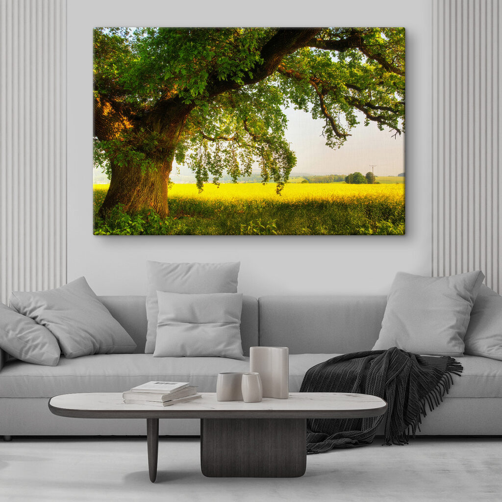 A tree in a field