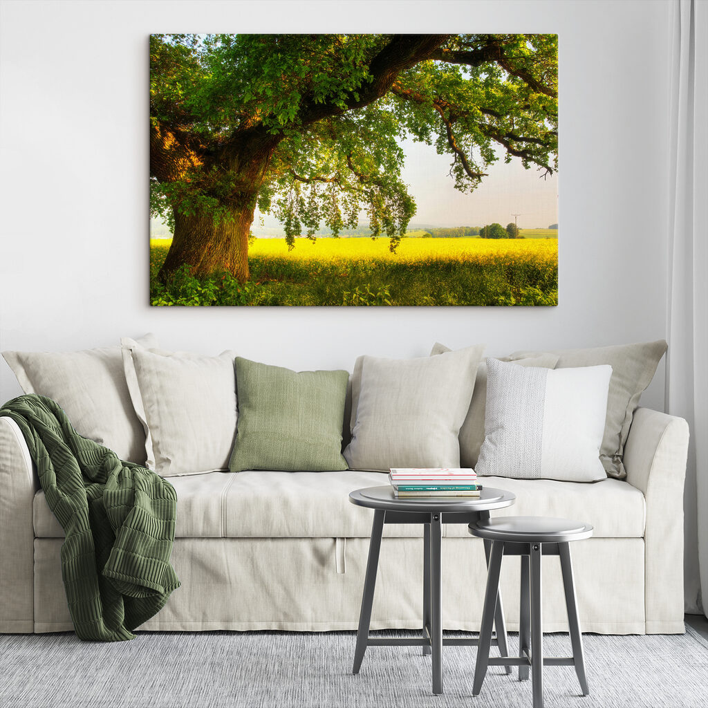 A tree in a field