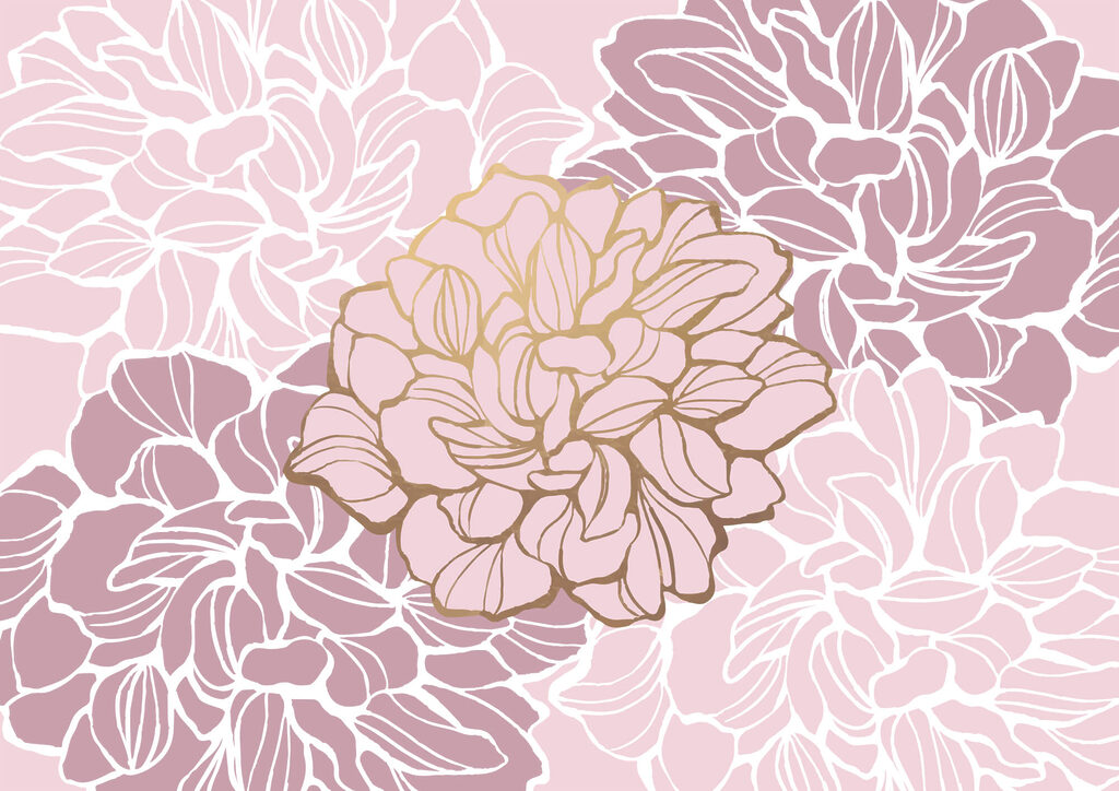 t00003v1p 1024x724 - Flor rosa y blanca - tegory