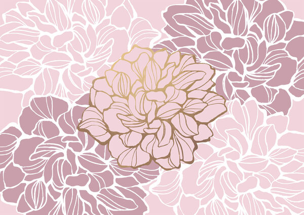 t00003v1p 600x424 - Flor rosa y blanca - tegory