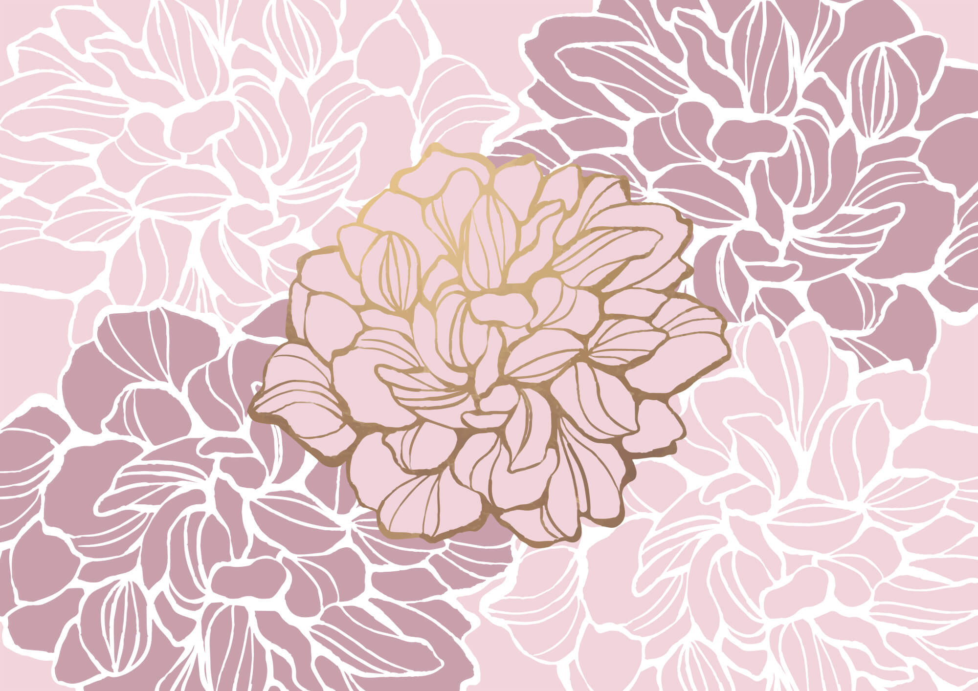 t00003v1p - Flor rosa y blanca - tegory