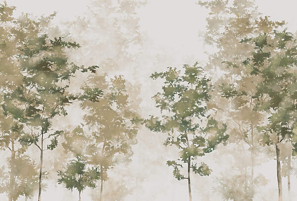 Grupo de árboles con niebla t00008p 600x406 - Grupo de árboles con niebla - tegory