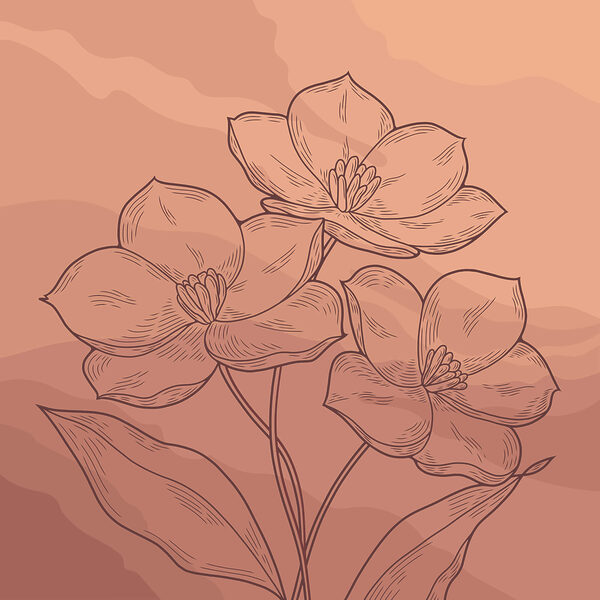 Dibujo de flores sobre fondo rosa Dibujo de flores sobre fondo rosa
