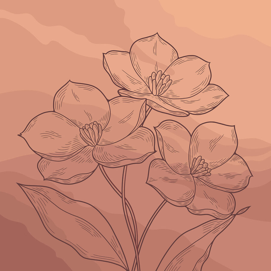 Dibujo de flores sobre fondo rosa