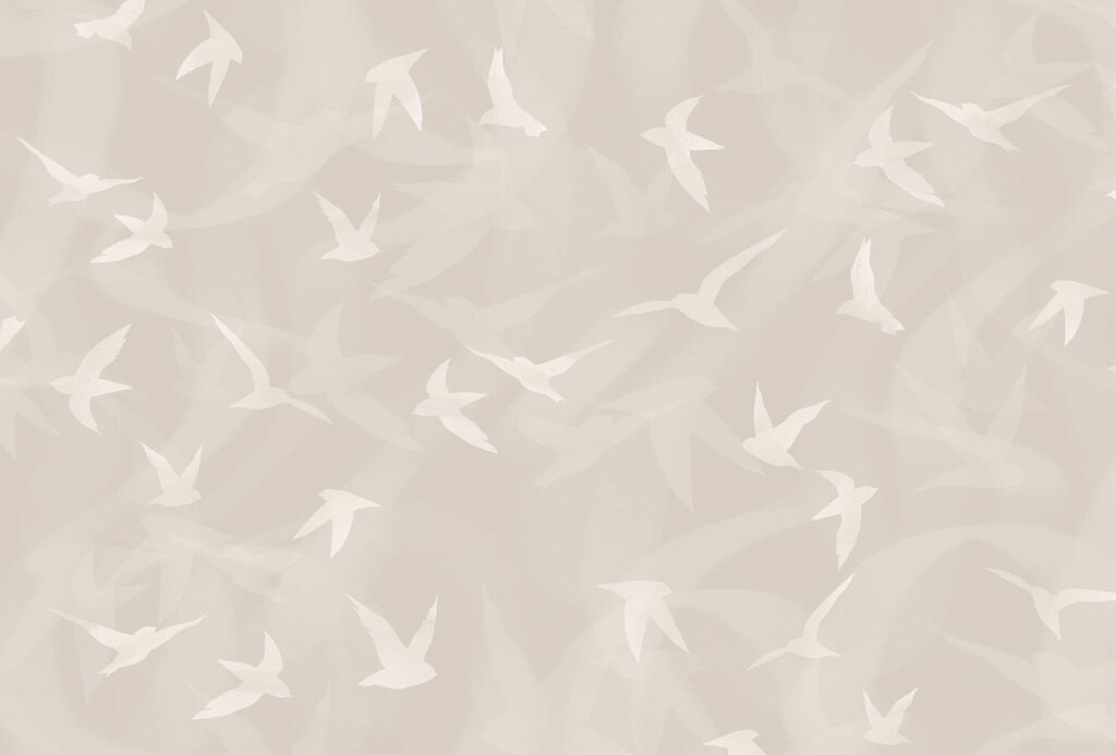 Pájaros blancos volando en el aire Pájaros blancos volando en el aire