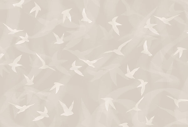 Pájaros blancos volando en el aire Pájaros blancos volando en el aire