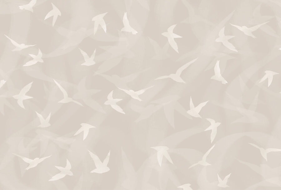 Pájaros blancos volando en el aire Pájaros blancos volando en el aire